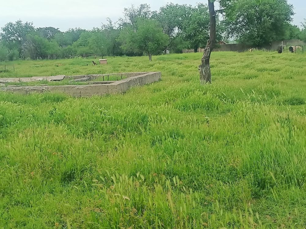 Продается земля 20 соток