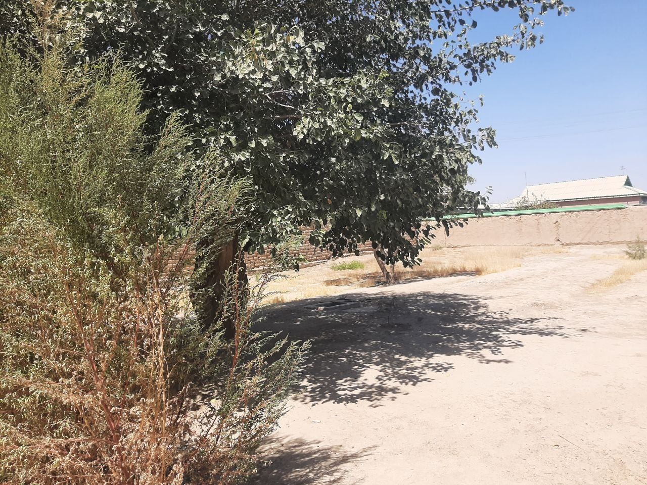 Hovli sotiladi srochno