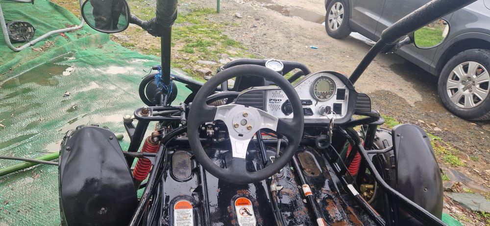 Buggy pogo pro rider 300cc