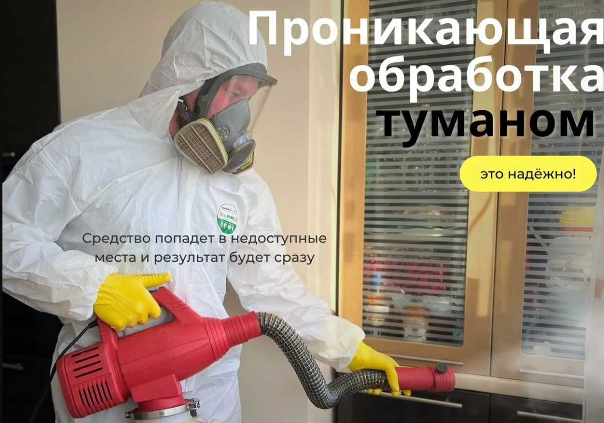 Dezinfeksiya klop дезинфекция Уничтожение насекомых, тараканов, клоп