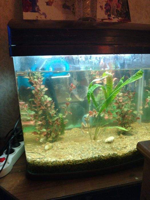 Продаётся Аквариум 50л