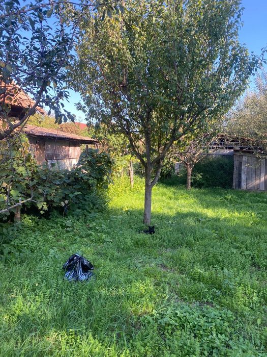 !URGENT! Casă 79 mp, teren 499 mp - STREMT, NU TEIUS  ALBA IULIA