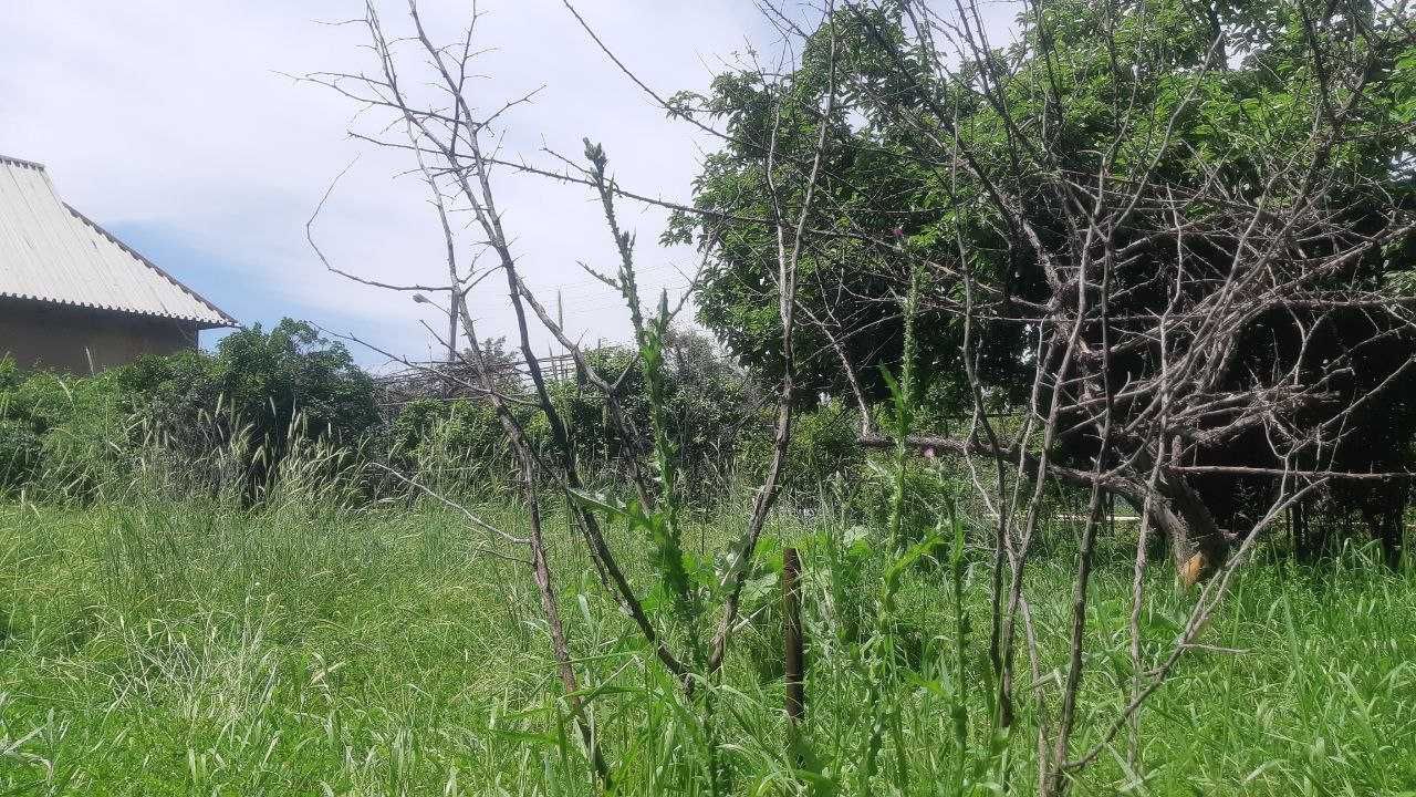 Bo'stonliq tumani, Dumaloq MFY dala hovli
