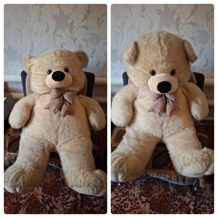 Медведь - 1 метр в высоту