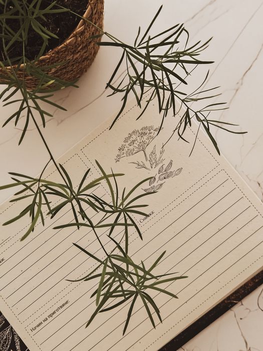 Рецептурник Изкушенията на Сашето