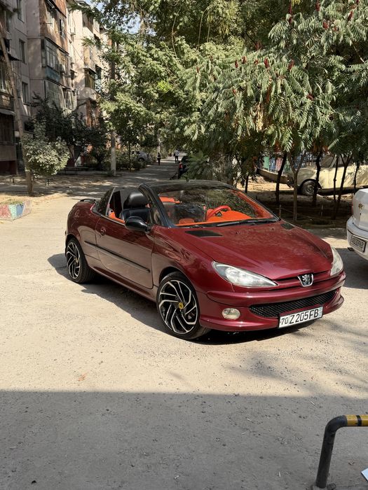 Pijo 206 cc cabralet