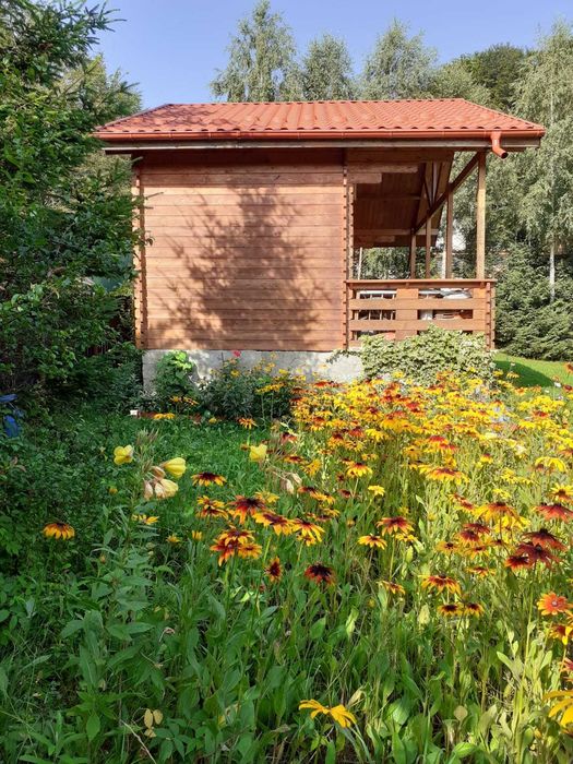 Vand cabana in statiunea Cheia