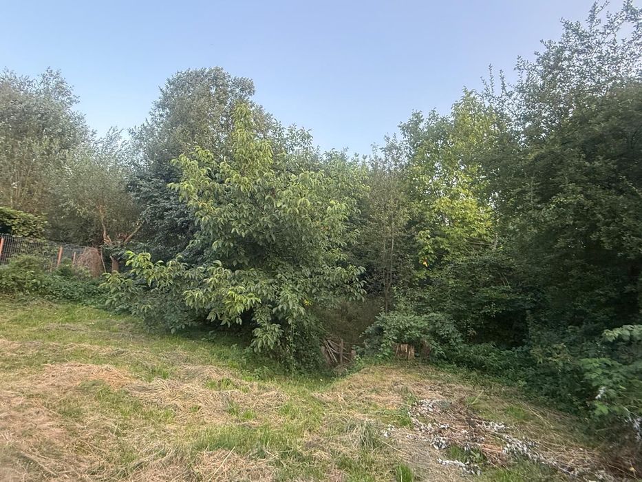 Teren intravilan Voinesti/Leresti 1700 mp