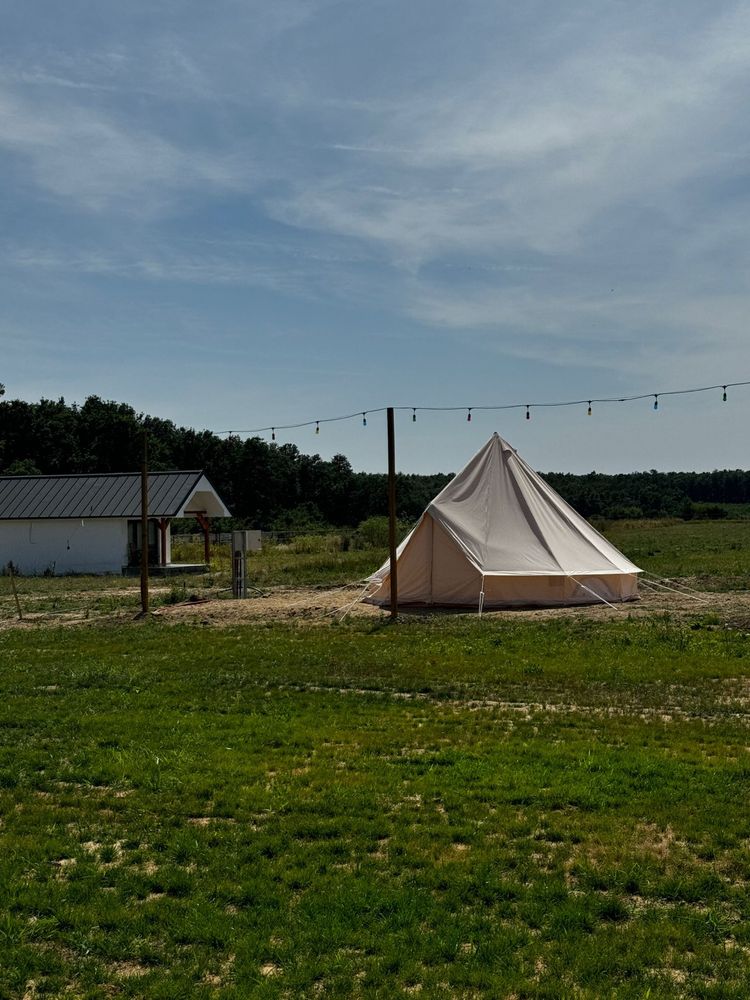 Forest Camping - liniste si natura, aproape de Oradea