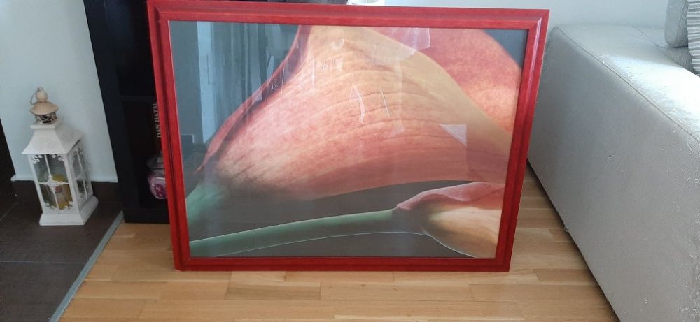 Tablou flori cale oranj cu rama deosebita L 88 cm/H 68  280 Lei