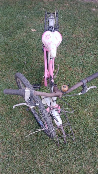 Bicicleta pentru copii