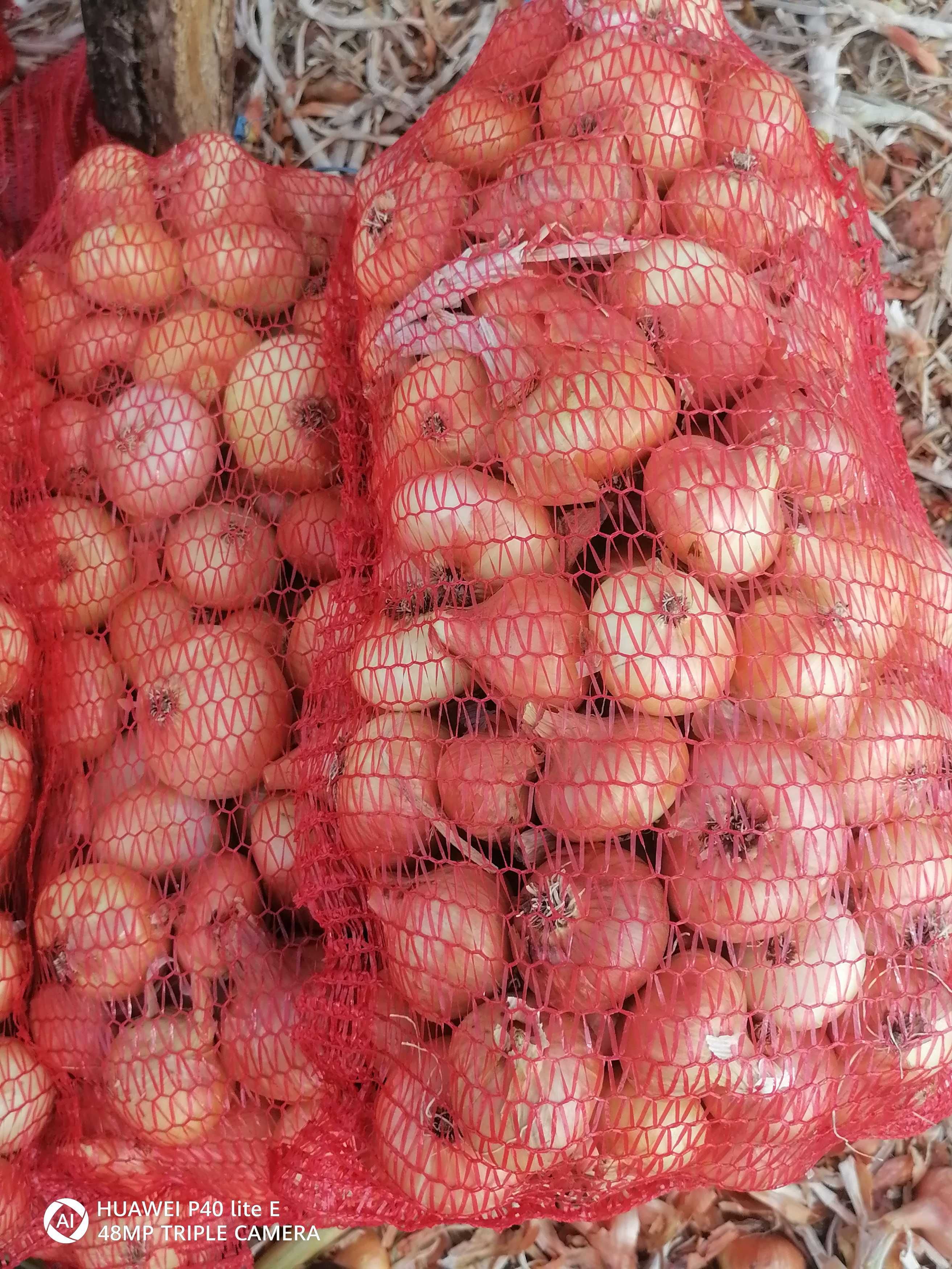 Продавам български лук