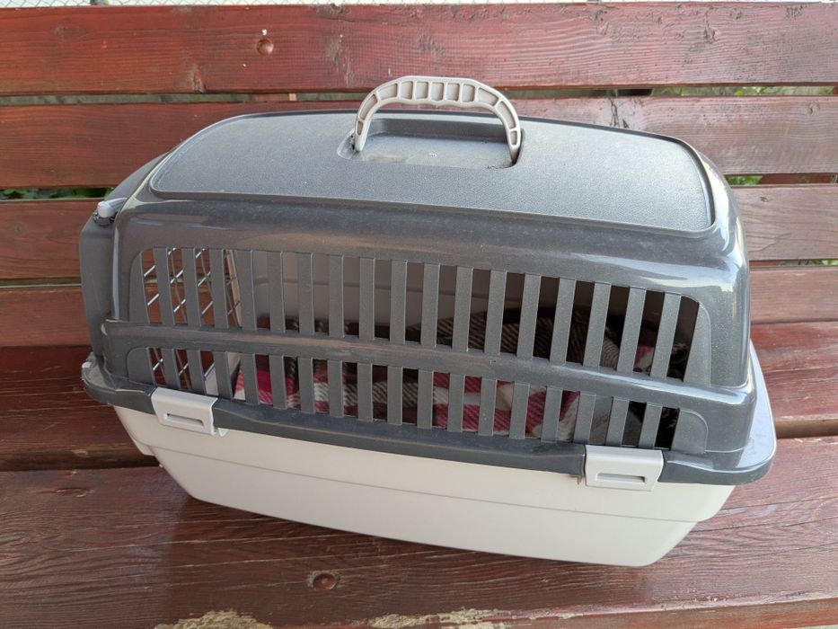 Box transport animale