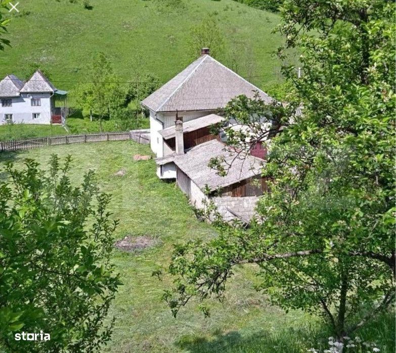 Casa individuala cu 3 camere, 217 mp utili,1600 mp teren,Intregalde