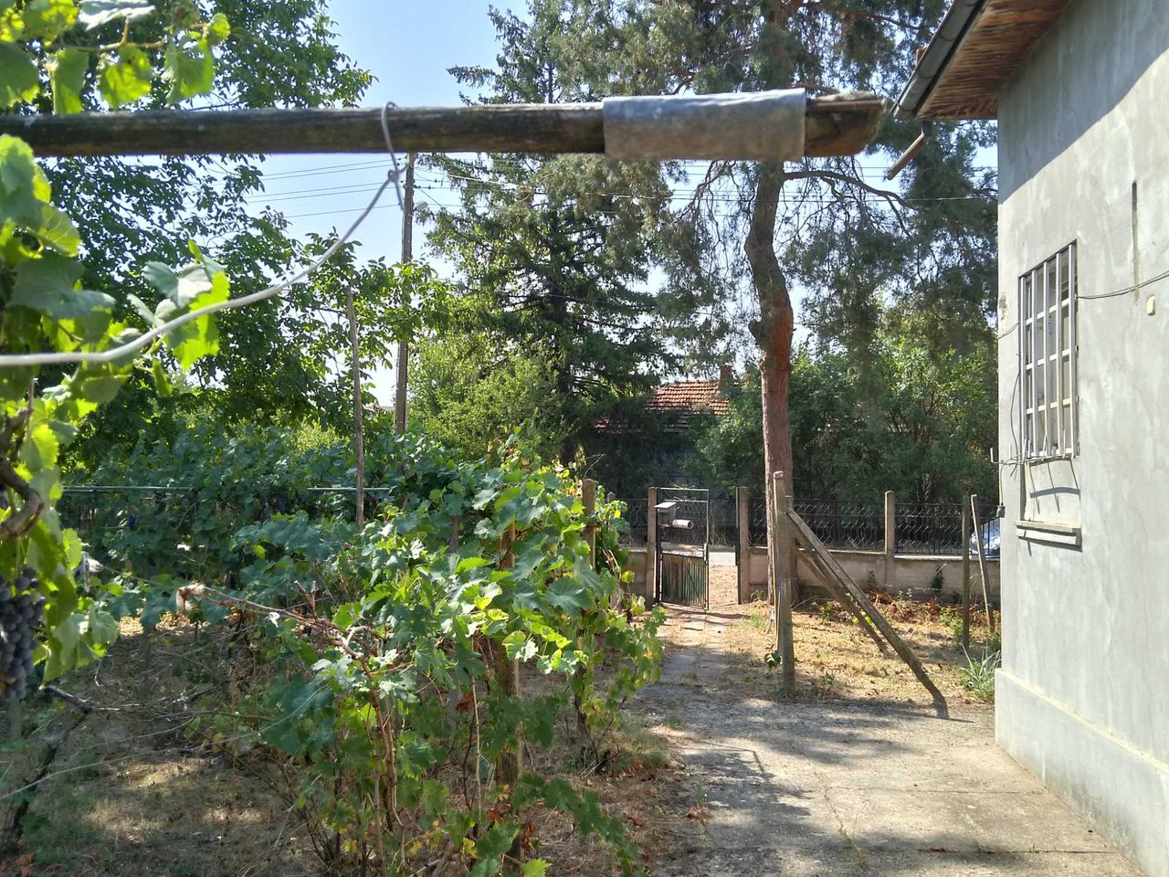 Продава се Къща в с. Якимово, Област Монтана - 2700 кв.м за 4 €/кв.м - Снимка #3