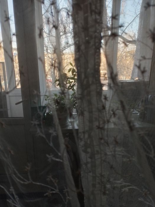 Продаю тюль в зал или в спальню