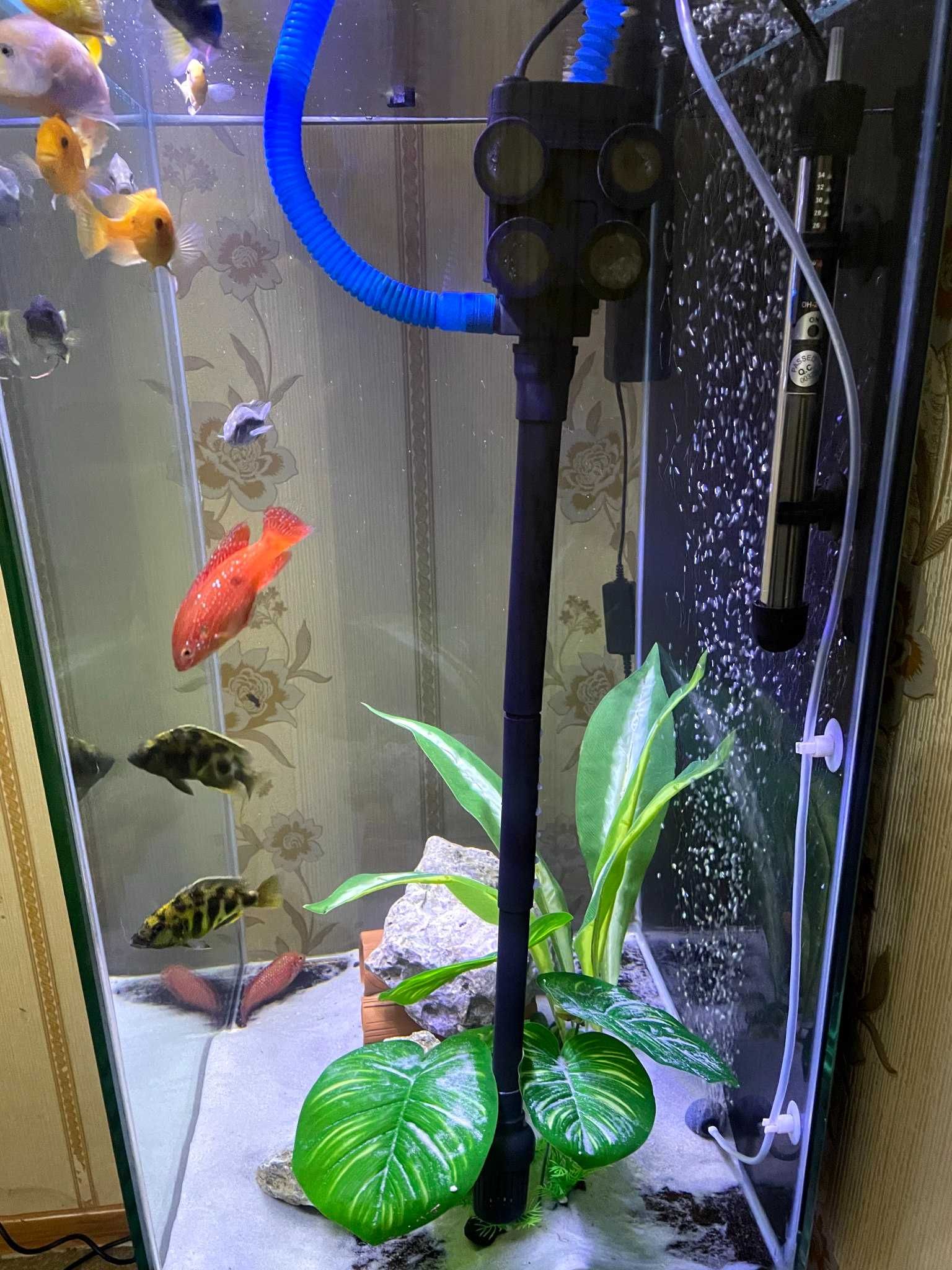 Akvarium sotiladi Full komplekt