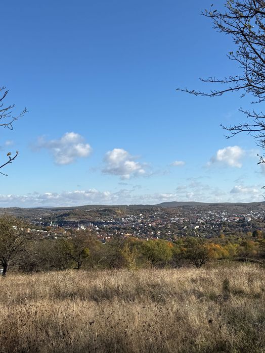 Teren intravilan strada Cerbului 3000mp