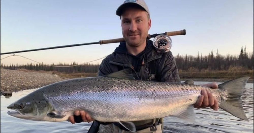 Сахалинский лосось ( сёмга)