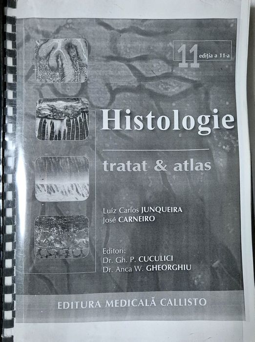 Vand atlas Histologie xerox