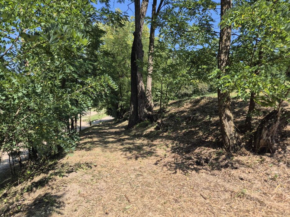 Casă de vânzare în centrul satului Răzoare, Mureș + teren, anexe, gaz