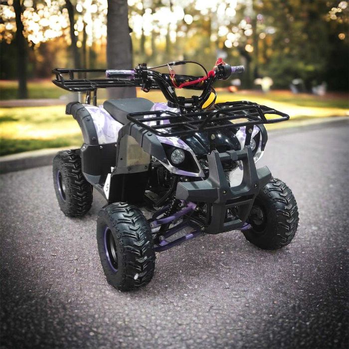 Atv Grizzly Kxd 110Cc Cutie De Viteza Automat