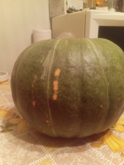 Продам тыкву 400 тенге за 1 кг.