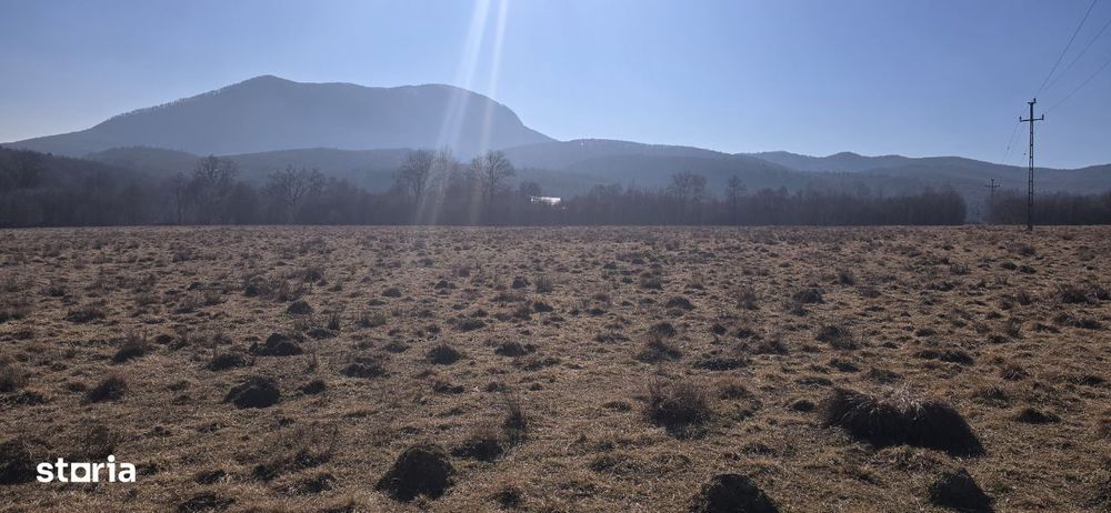 Teren zona Geamana-Codlea 7400mp Intravilan