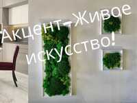 Вертикальное озеленение для дома и офиса