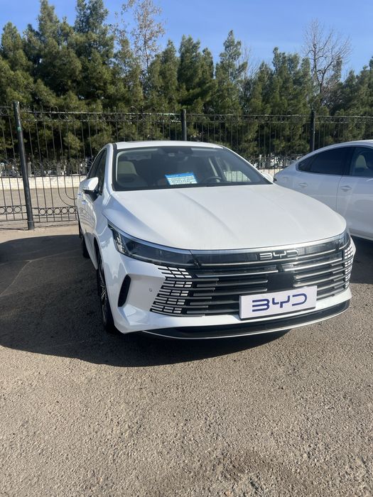 Byd chazor gibrid full