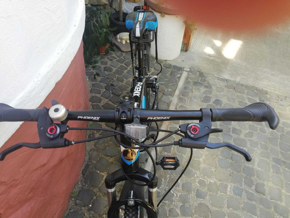 Bicicleta Phoenix