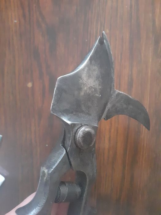 Лозарска ножица за лозе