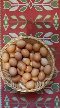 ouă proaspete de țară