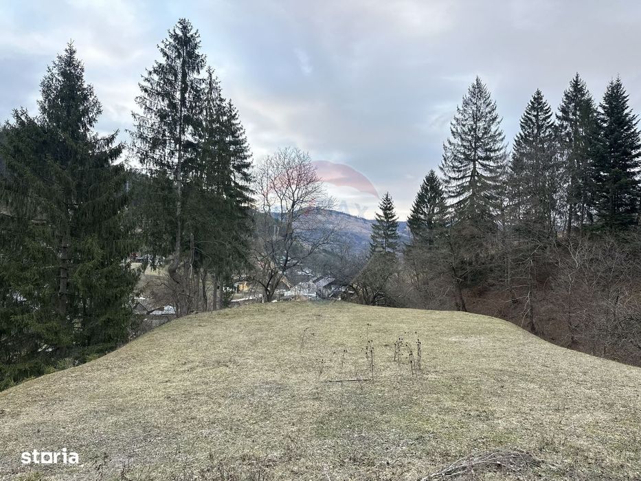 Teren 2,000mp Stejaru (Pangarati) / None