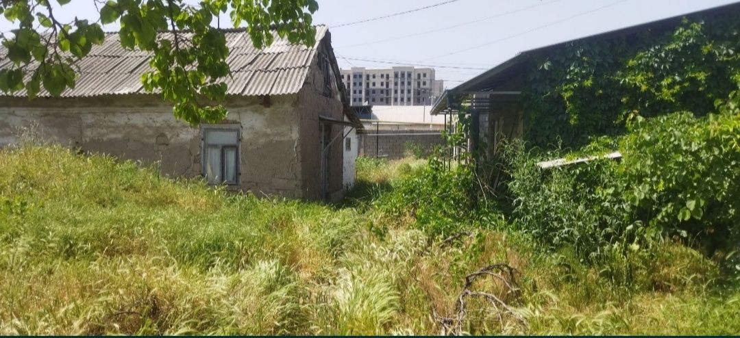 Продаю дом в Старых Сергелях  8 соток