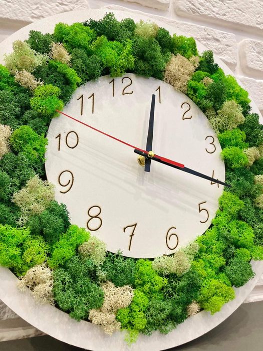 Часовници със скандинавски мъх