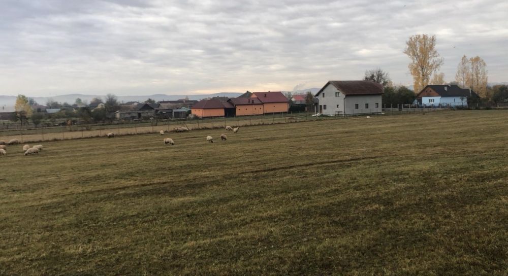 Vand teren intravilan!