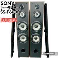 Акустическая система Sony SS - F6000