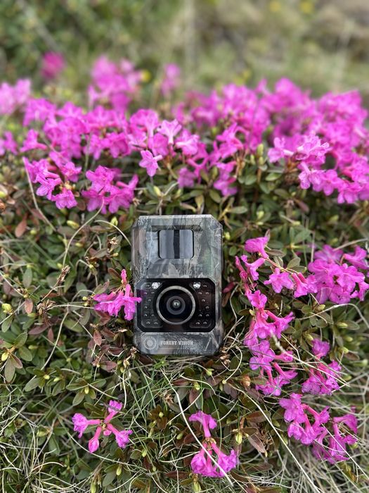 Camera vanatoare Forestvision Alpha 48mp Wifi si stocare pe card sd