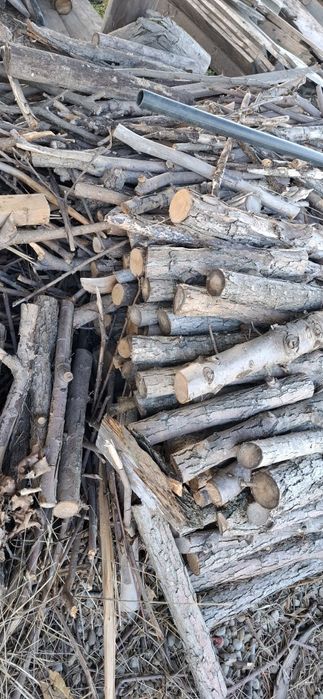 Lemn de foc de Salcim uscat