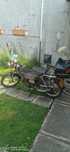 Moped First Bike Curier 50cm
