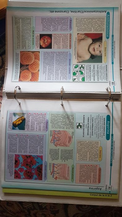 Colectie interiorul corpului uman medicina