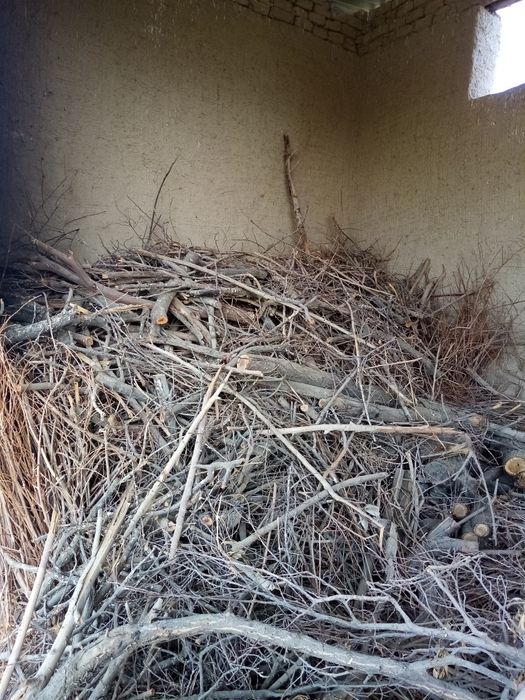 Утин сотилади коп