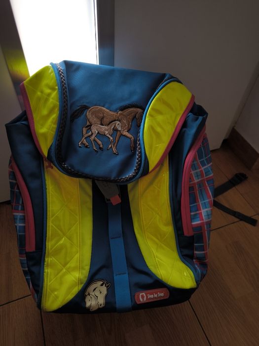 Ghiozdan ergonomic Step by step