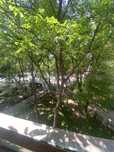 Apartament 2 camere Rond Obregia/piata Sudului