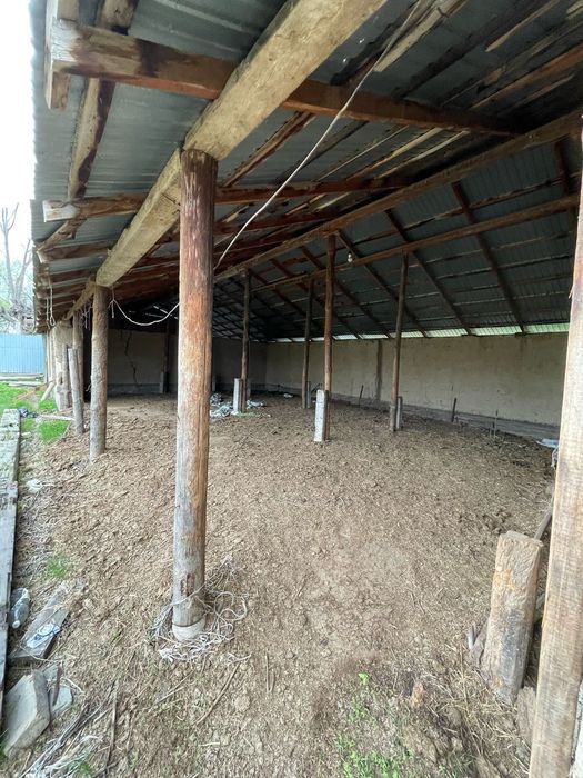 Пппавчрооосчhbhcxxvggx