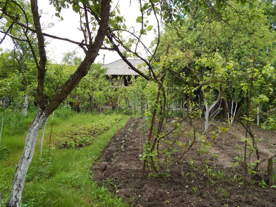 Casa bunicilor la tara