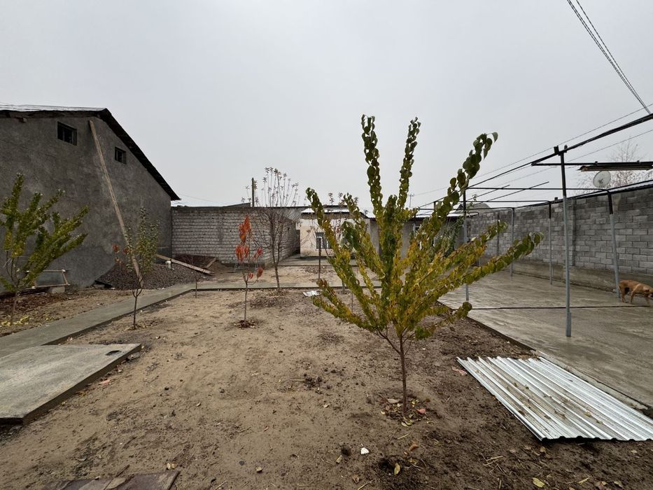 Ховли 5,3 сотка СОТИЛАДИ Ер хисобида Бектемир