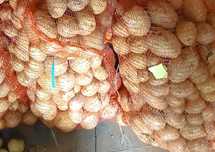 продам картофель домашний, отборный