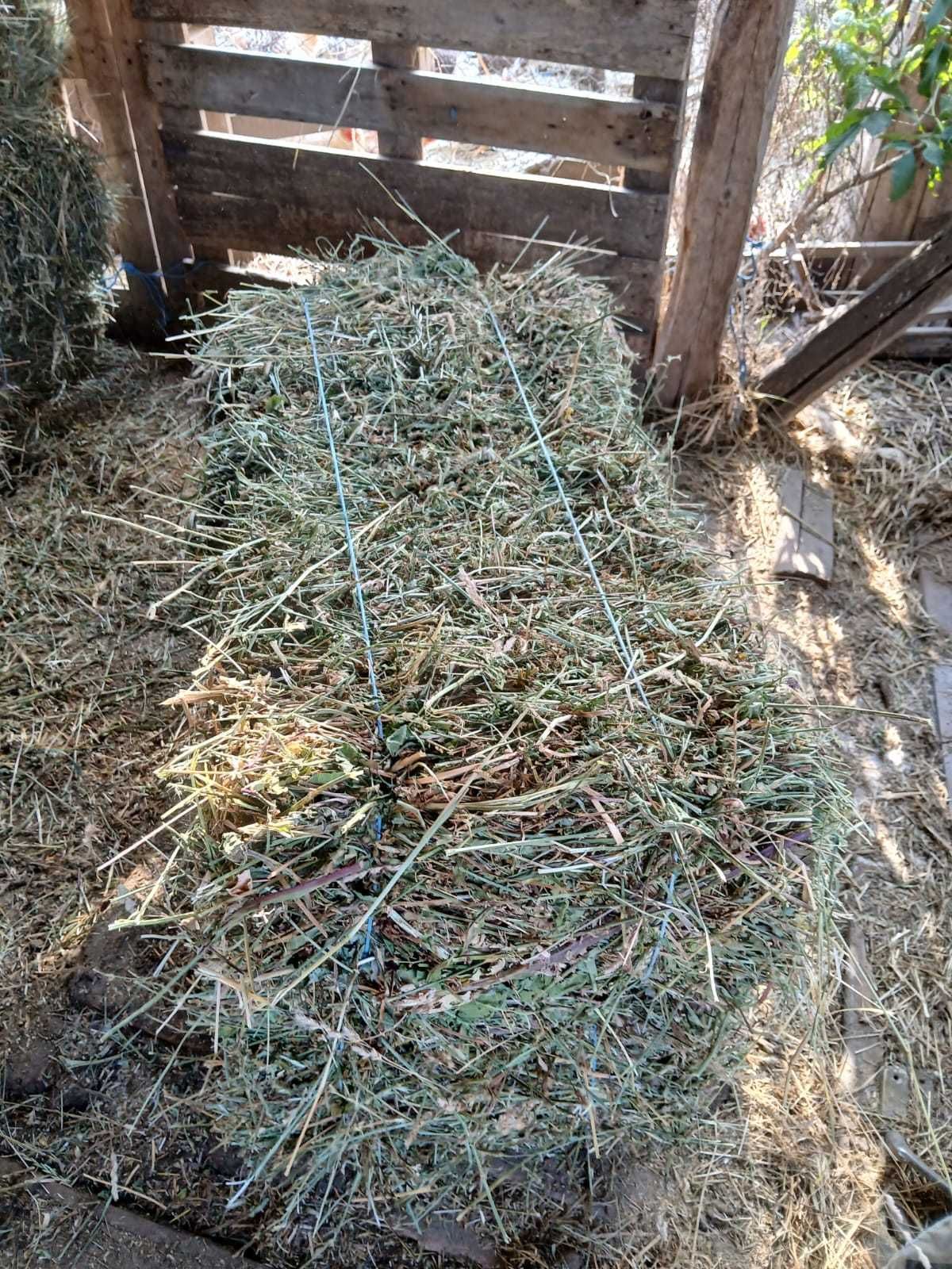 Baloți de lucernă de vanzare